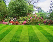 LAWN MOWING ...LAWN  CUT