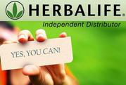 Herbalife distributors wanted