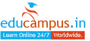 Online Diploma in Entrepreneurship Program: